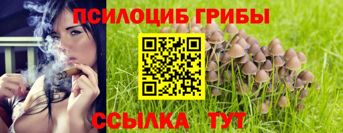 Псилоцибиновые грибы ЛСД Владикавказ